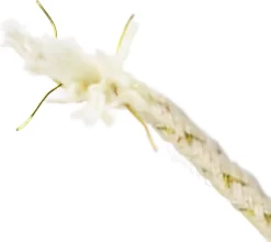 5 Stuks Benzine Aansteker Lont (Geschikt Voor Zippo Aanstekers), Onderhoud Verlengen Vuursteentjes Vervangen 12 Cm X 0,2 Cm | 5 Pieces Gasoline Lighter Wick (Fits With Zippo Lighter), Maintenance Extending Flints Replacement 12 Cm X 0,2 Cm 10 5 Stuks Benzine Aansteker Lont (Geschikt Voor Zippo Aanstekers), Onderhoud Verlengen Vuursteentjes Vervangen 12 Cm X 0,2 Cm | 5 Pieces Gasoline Lighter Wick (Fits With Zippo Lighter), Maintenance Extending Flints Replacement 12 Cm X 0,2 Cm -Thuis-BBQ 1200x1068 1