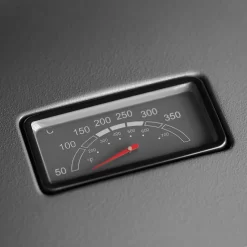 Burnhard Draagbare 2-Branders Gasbarbecue - Afdekhoes - BBQ Wayne -Thuis-BBQ 1200x1200 226