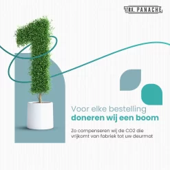 MR. PANACHE Ovenhandschoenen (2 Stuks) - EN407 Certificaat - Tot 500°C - Ovenwanten - Hittebestendige BBQ Handschoenen - Barbecue En Oven Handschoenen -Thuis-BBQ 1200x1200 417