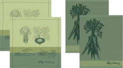 DDDDD Greens - 2 Theedoeken & 2 Keukendoeken - Green
