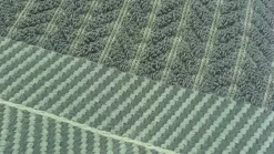 DDDDD Monstera - Keukendoek - 50x55 Cm - Set Van 6 - Laurel -Thuis-BBQ 1200x675 6