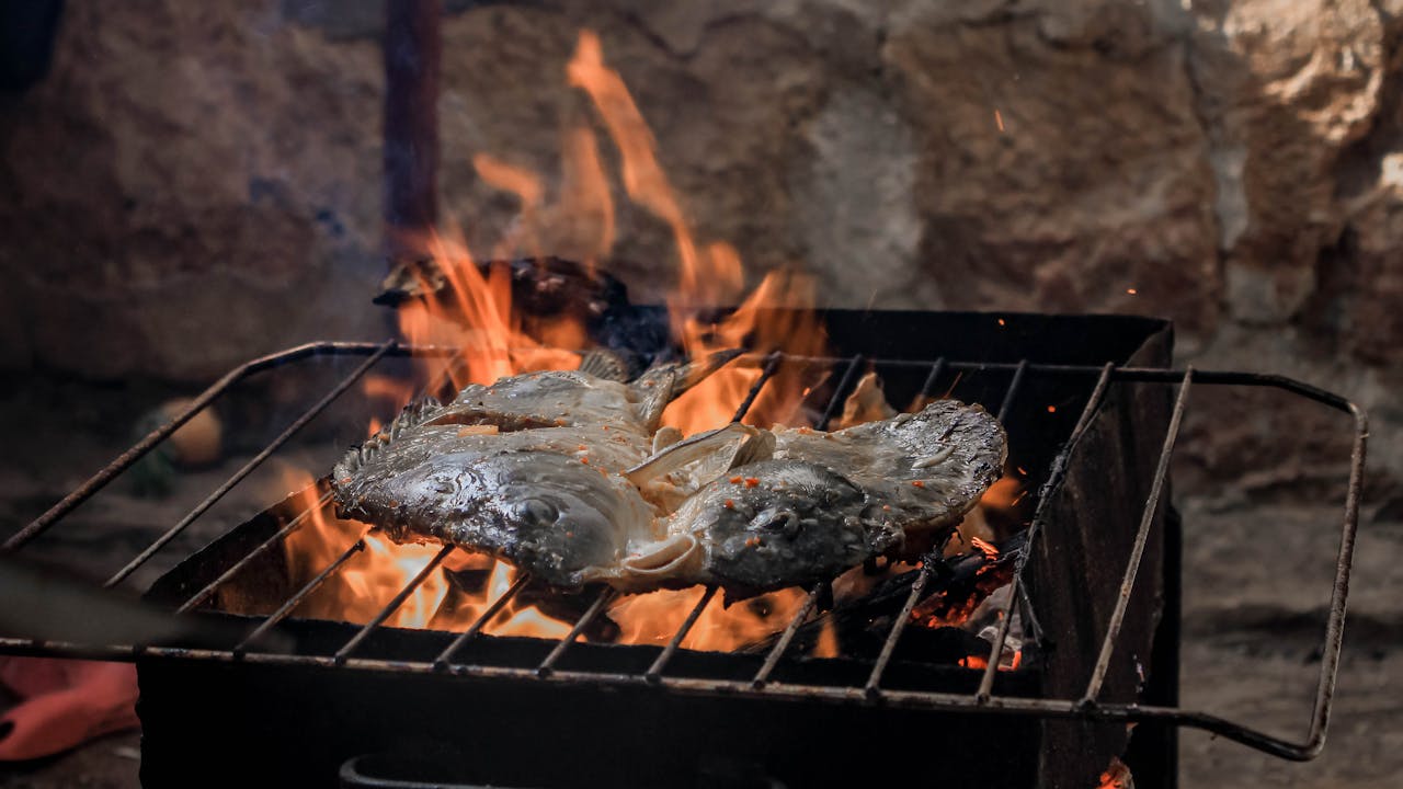 Thuis-BBQ -Thuis-BBQ pexels samer daboul 2233733